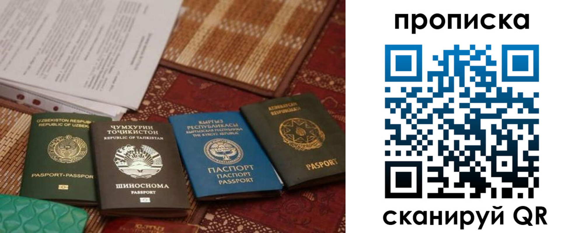 прописка 2025 в Подольске